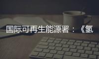 国际可再生能源署：《氢：一种可再生能源视角》